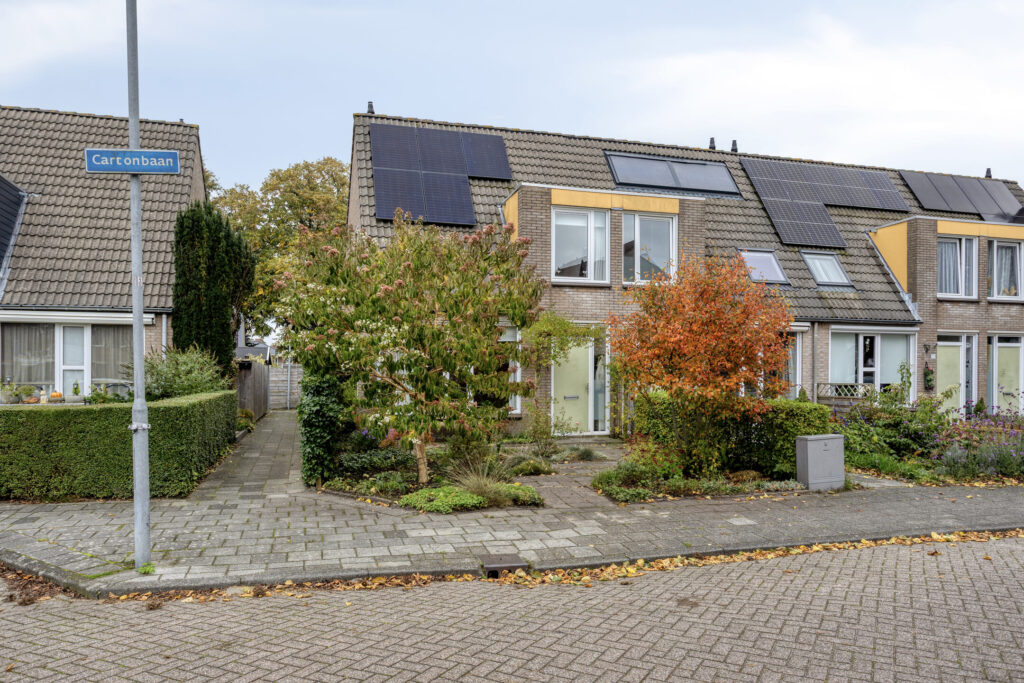 Hoofdafbeelding Cartonbaan 17